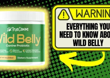 Wild Belly